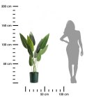 Donica z podstawką Azalea awokado 22 cm