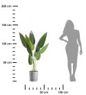 Donica z podstawką Azalea recykling szary beton 22 cm