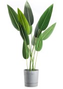Donica z podstawką Azalea recykling szary beton 22 cm