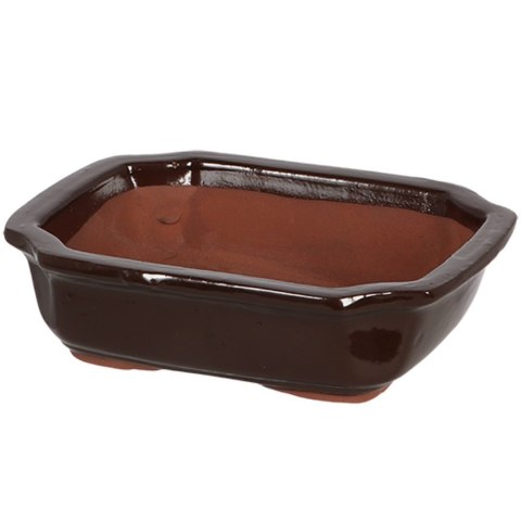 Doniczka z terakoty na bonsai 21xh6cm