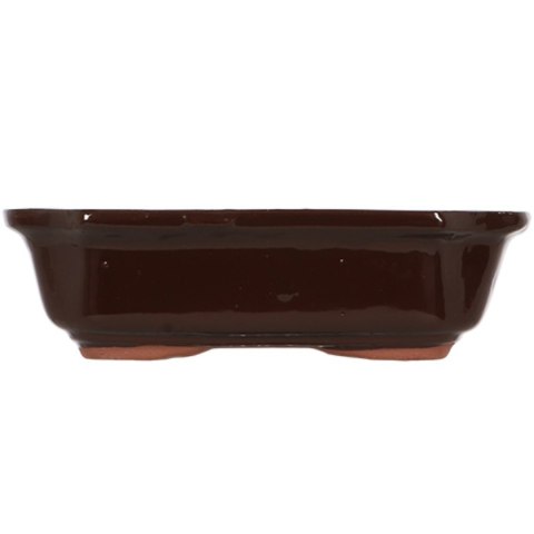 Doniczka z terakoty na bonsai 21xh6cm