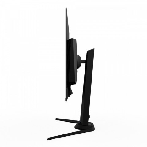 Monitor 31.5 cala FO32U2P OLED 0,03MS UHD 240HZ 4K