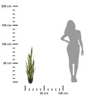 Kwiat sztuczny Sanseviera w donicy 92 cm