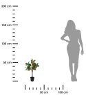 Sztuczne drzewko pomarańczy w donicy 60 cm