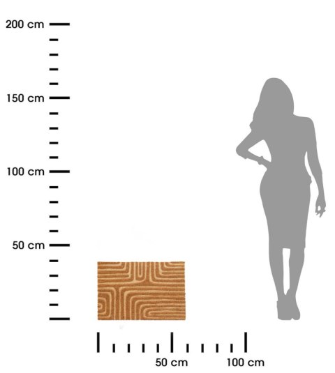 Wycieraczka z włókna kokosowego wzór 1 59x39 cm