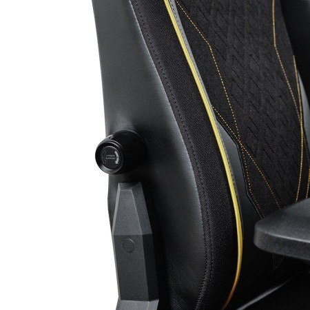Fotel komputerowy GXT721 Ruya Pro Premium czarny