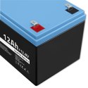 Akumulator LiFePO4 | 12.8V | 12Ah | 153.6Wh | BMS