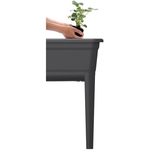 SZKLARNIA STOJĄCA ROZSADNIK RESPANA SET ECOLINE 59,6x36,8x75,3CM ANTRACYT