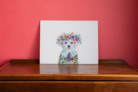 Mikasa Tipperleyhill, Deska Szklana Szczeniak