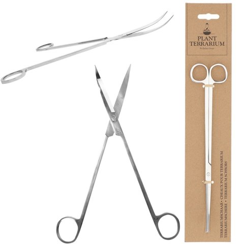 Długie nożyczki do roślin w szkle