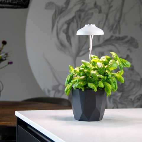 Lampa LED do wzrostu roślin regulowana