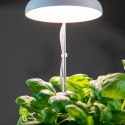 Lampa LED do wzrostu roślin regulowana