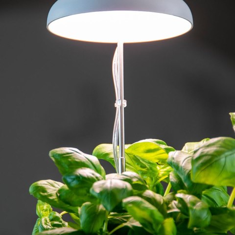 Lampa LED do wzrostu roślin regulowana