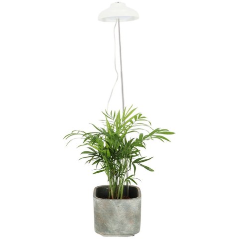 Lampa LED do wzrostu roślin regulowana