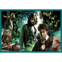 Puzzle - 10w1 - Harry Potter - W świecie Harrego Pottera - Trefl 90392