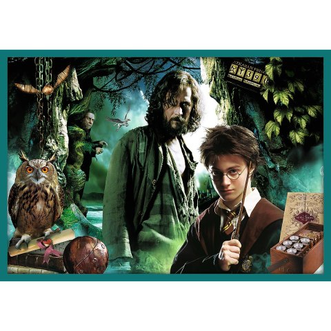 Puzzle - 10w1 - Harry Potter - W świecie Harrego Pottera - Trefl 90392