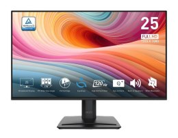 Monitor 24.5 cala PRO MP251 E2 LED/FHD/Flat/120Hz/czarny
