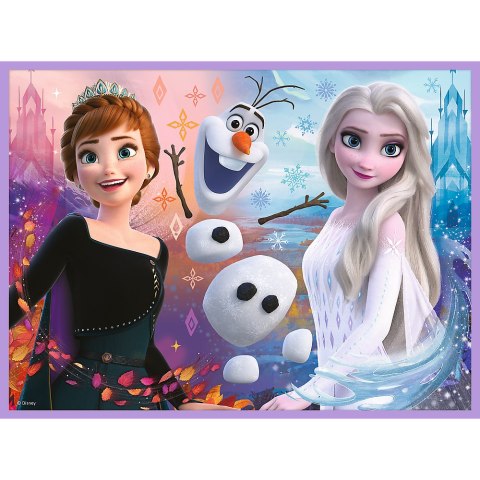 Puzzle + MEMOS - 2w1 (30,48) - Księżniczki w swojej krainie - Disney Kraina Lodu - Trefl 93335