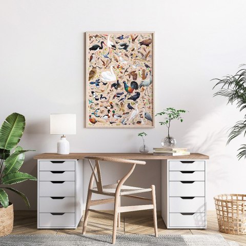 Puzzle Puzzlove Ptaki 1000 elementów