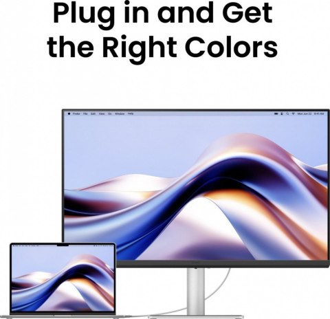 Monitor 31.5 cala MA320U 4K LED 5ms/60Hz/IPS
