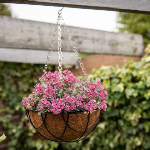 Wisząca doniczka na rośliny