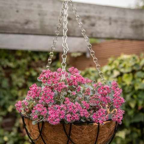 Wisząca doniczka na rośliny