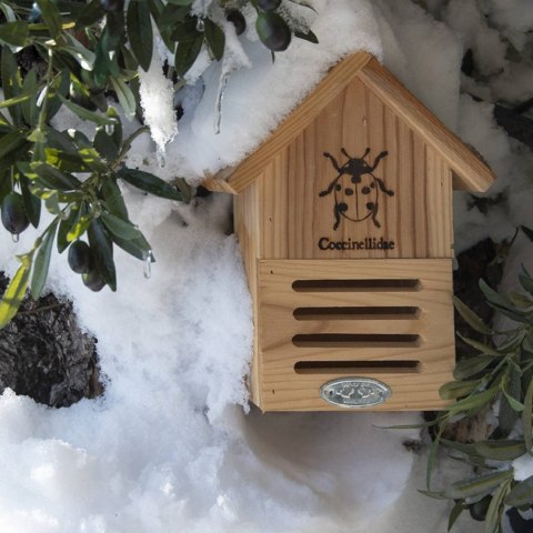 Domek dla biedronek z naturalnego drewna