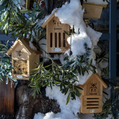 Domek dla motyli z naturalnego drewna