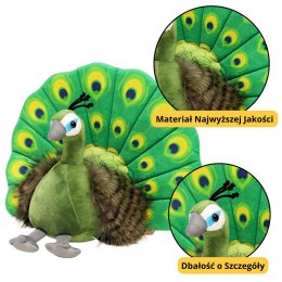 Maskotka Pluszowa Przytulanka Elegancki Paw Zielony 30cm