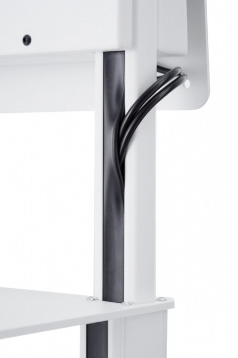 TRF100 Wózek wideokonferencyjny głowicą obrotową do monitorów (Flip55) 55-65 cali VESA 200x200 - 400x400 40kg