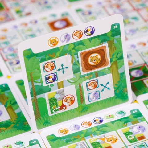 Gra Dżungla. 60 Zagadek