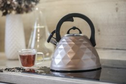 Czajnik ROSA 3L BR-7634 złoty