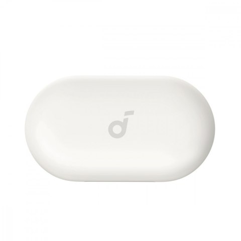 Głośnik Soundcore V20i białe