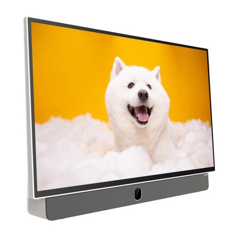 Przenośny Telewizor Metz 24MPE7000Z 24" LED