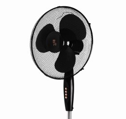 WENTYLATOR PODŁOGOWY OSCYLACYJNY BERLINGER HAUS BH-9130 BLACK ROSE