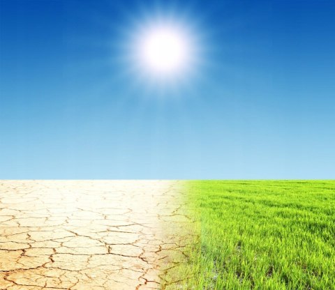 Trawa Ozdobna Odporna Na Suszę GF Grass Garden 15kg