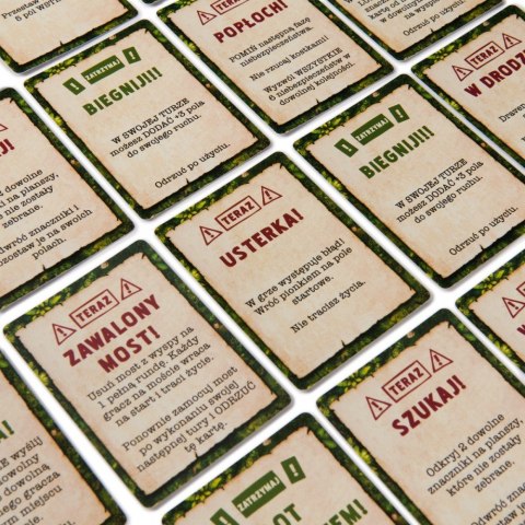 Gra Jumanji Popłoch