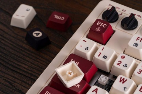 108 Mechanical Keyboard Fami Ed.