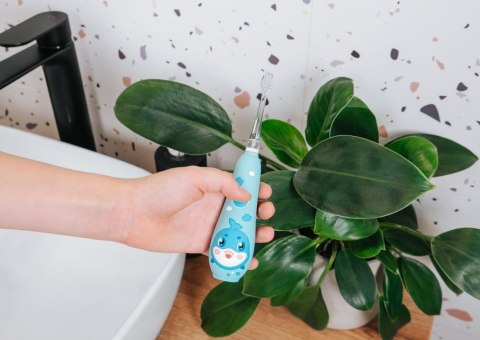 Szczoteczka soniczna Baby KIDO SMILE 1-5 lat niebieska ZK3020