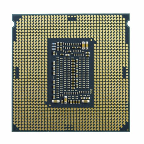 Procesor INTEL XEON E-2324G (3.1 GHz /8 MB /Socket LGA1200 )