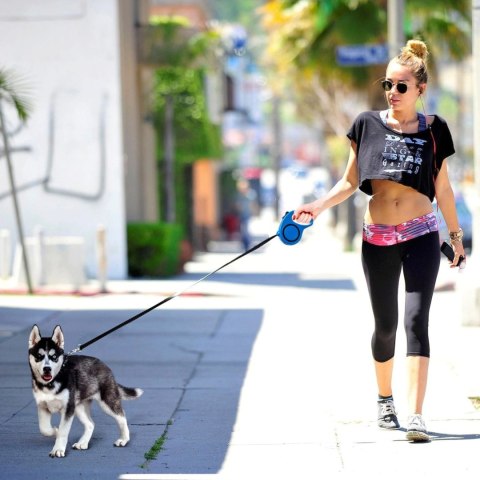 Smycz automatyczna zwijana taśma z blokadą dla psa do 15 kg 5 m - niebieska