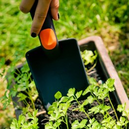 ŁOPATKA OGRODOWA WĄSKA