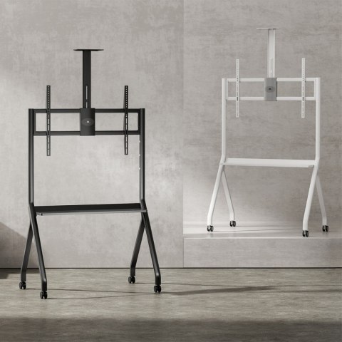 Stojak do TV na kółkach MC-114W