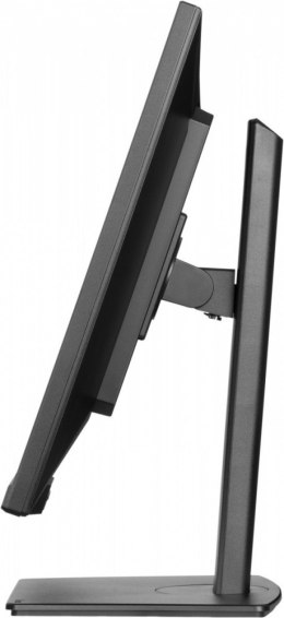 Monitor 32 cale XUB3297QSNP-B1 IPS,QHD,USB-C DOCK (95W), USB HUB 4x, KVM, RJ45