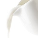 MLECZNIK PORCELANOWY BIAŁY DZBANUSZEK NA MLEKO SOS MONA 260ML ORION 155305