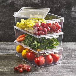 ORGANIZER DO LODÓWKI POJEMNIK Z POKRYWKĄ NA PRZYPRAWY PRODUKTY SPOŻYWCZE 32.5X20X10.5CM ORION 731634