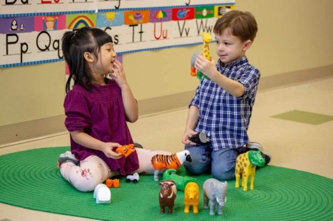 Zestaw Malblo Magnetic Dinozaury 1