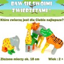 Zestaw Malik Malblo Magnetic Zwierzęta z dżungli