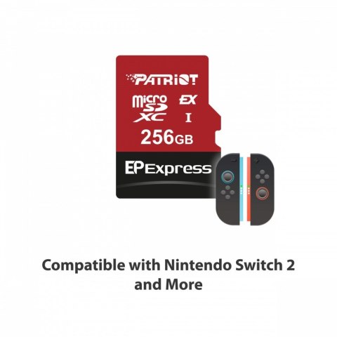 Karta microSDXC 256GB Express 800/600MB/s Nintendo Switch 2