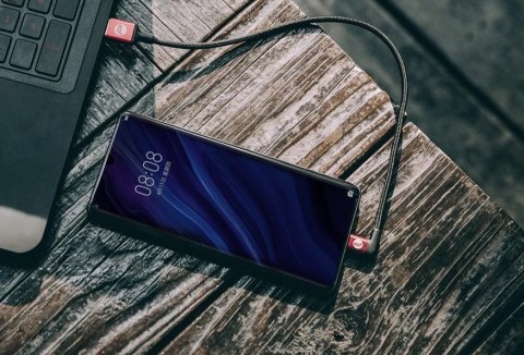 Kabel PGYTECH USB-A-USB-C 0.35m